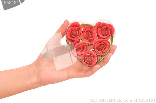 Image of roses