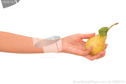 Image of yellow pear