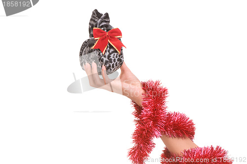 Image of gift in the grey bag
