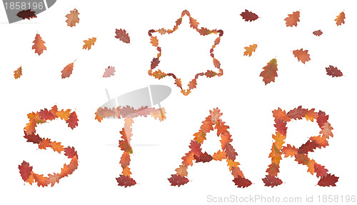 Image of word star made of autumn leaves