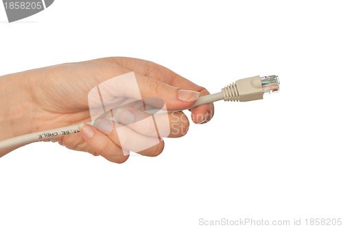 Image of grey LAN cord