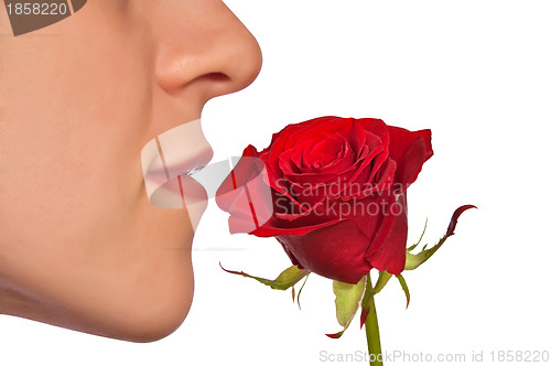 Image of Young woman smelling red rose