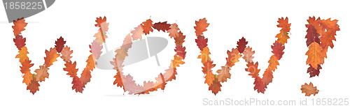 Image of word wow made of autumn leaves