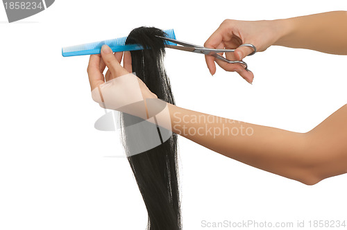 Image of hairdresser cutting young woman