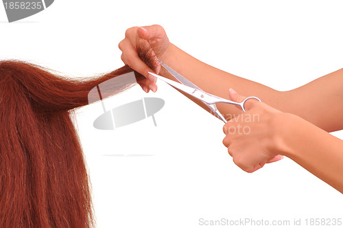 Image of hairdresser cutting young woman