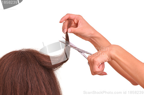 Image of hairdresser cutting young woman