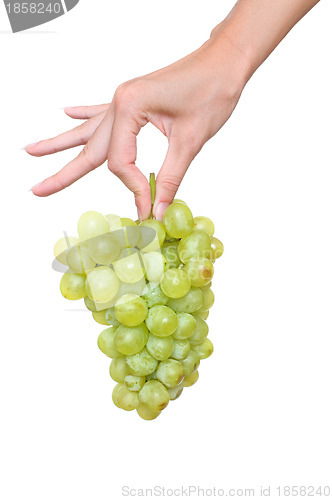 Image of a brunch of green grape in the woman's hand