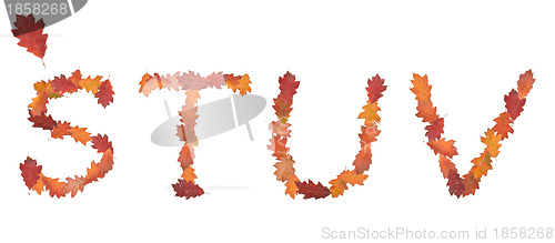 Image of alphabet made of autumn leaves