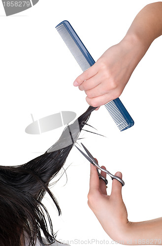 Image of hairdresser cutting young woman