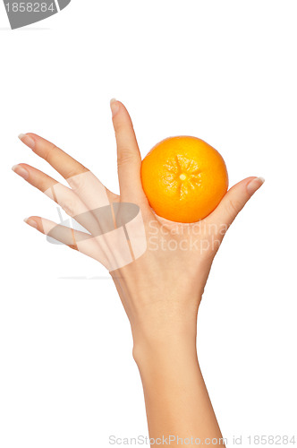 Image of woman holding yellow sweet fruit tangerine