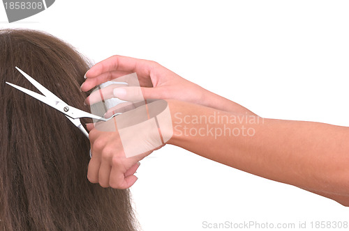 Image of hairdresser cutting young woman