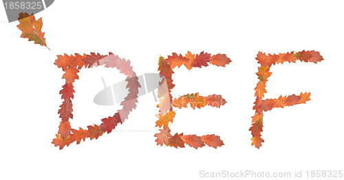 Image of alphabet made of autumn leaves