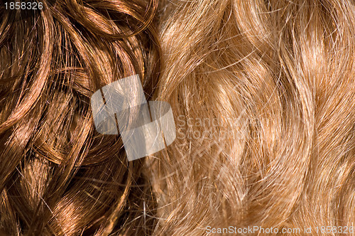 Image of curly wigs