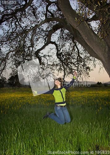 Image of Jumping on the green field