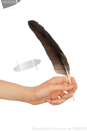 Image of woman writing with a black feather