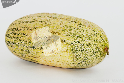 Image of  melon