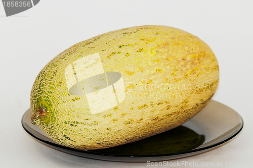 Image of  melon