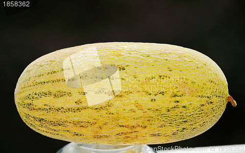 Image of  melon