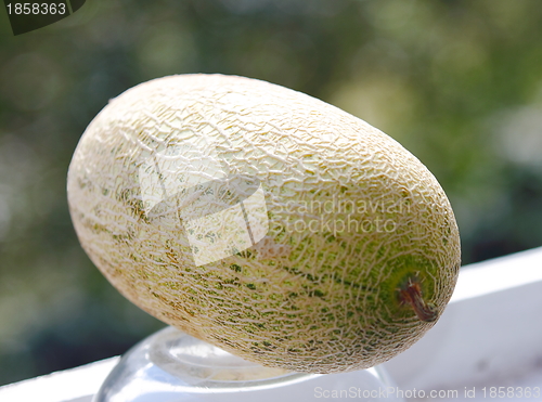 Image of  melon