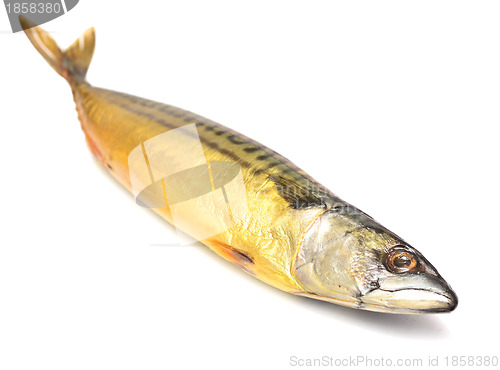 Image of smoked mackerel