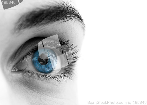 Image of Blue eye