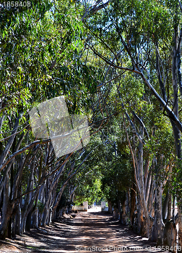 Image of Long Avenue