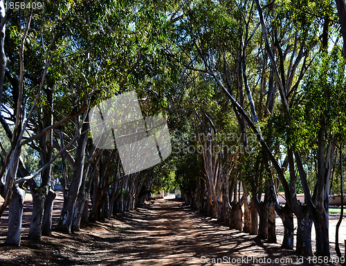 Image of Long Avenue