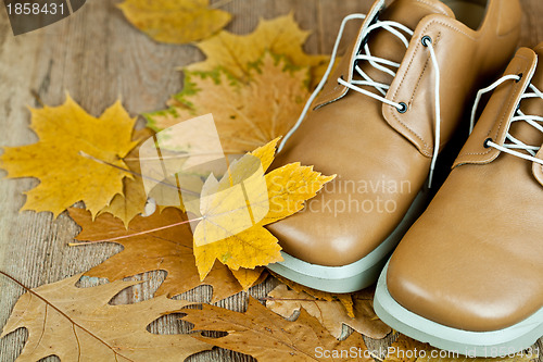 Image of leather shoes and yellow leaves