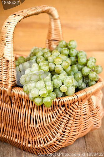 Image of basket with fresh green grapes 