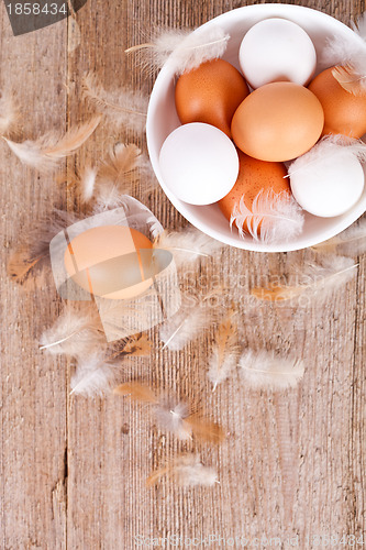 Image of eggs in a bowl  and feathers