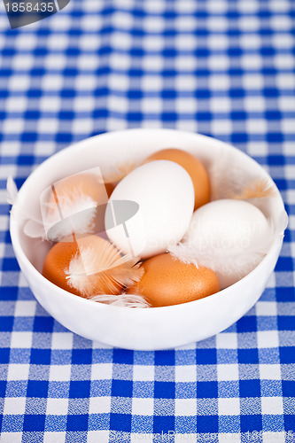 Image of eggs and feathers in a bowl