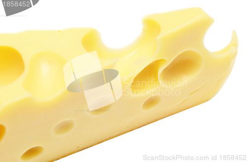 Image of cheese