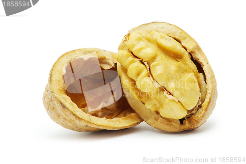Image of walnuts 