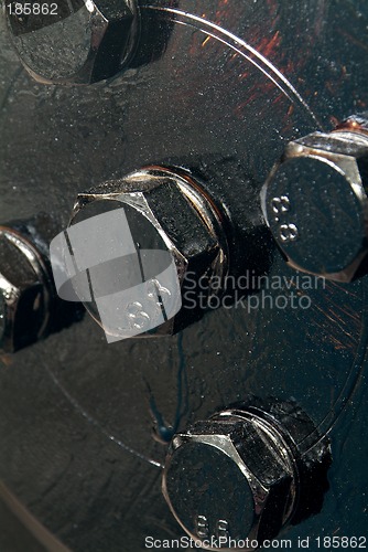 Image of Black, painted bolts
