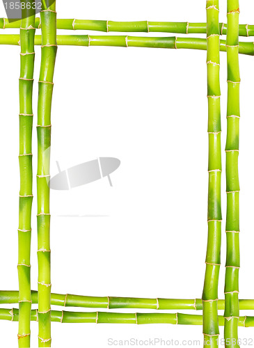 Image of  bamboo frame