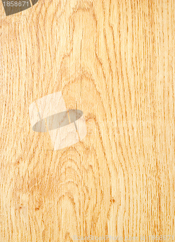 Image of Texture of  wood