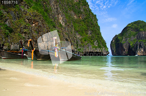 Image of Tropical beach