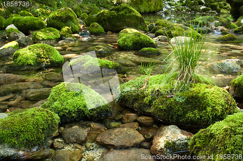 Image of Rocks with moss