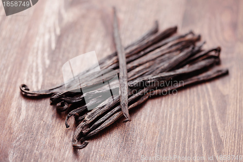 Image of Vanilla Beans