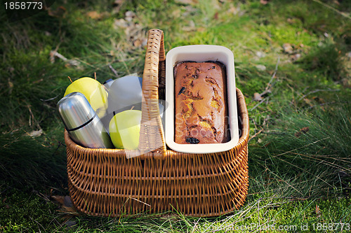 Image of picnic in the wood