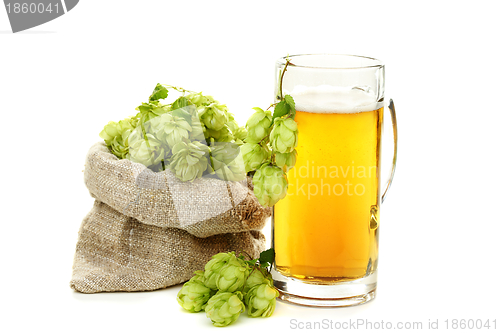 Image of Hop cones and glass of beer.