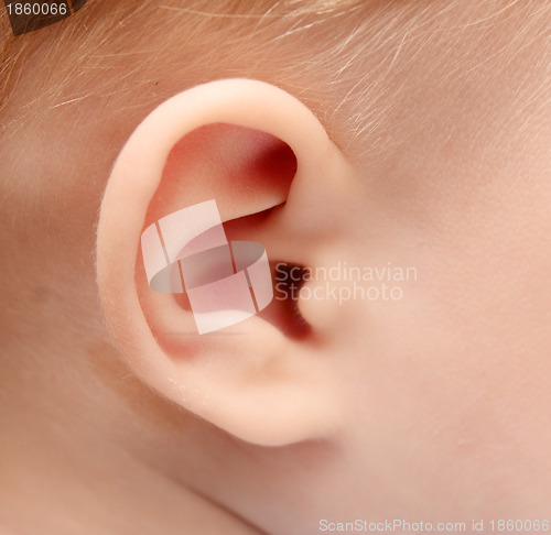 Image of baby ear