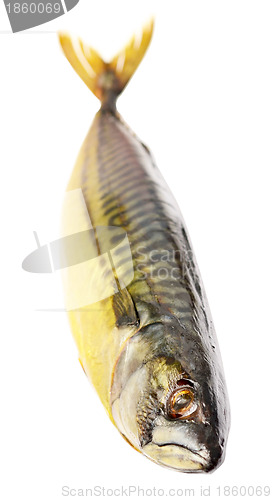 Image of smoked mackerel