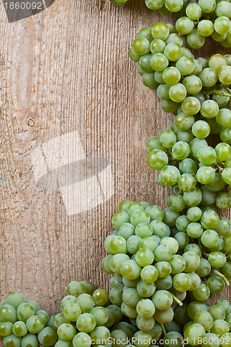 Image of  fresh green grapes