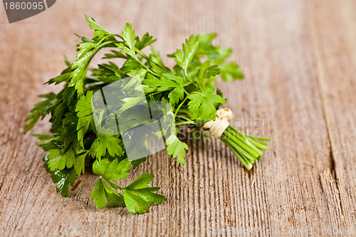 Image of bunch of fresh parsley