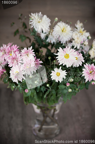 Image of pink asters in glass vase