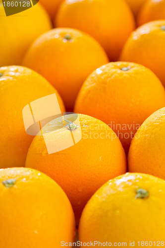 Image of Orange
