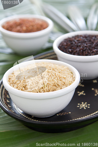 Image of Varieties of raw rices 