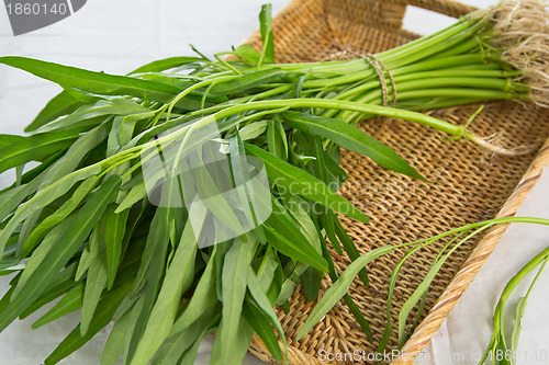 Image of Morning glory vegetable