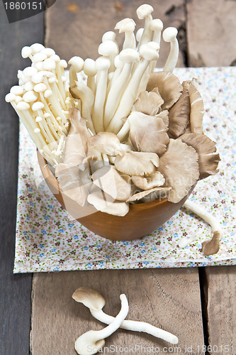 Image of Varieties of fresh mushroom